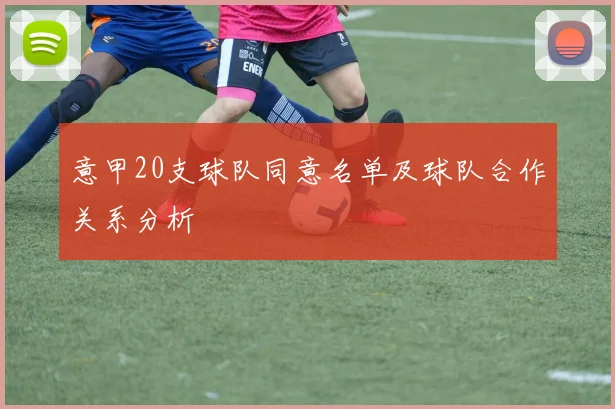 意甲20支球队同意名单及球队合作关系分析