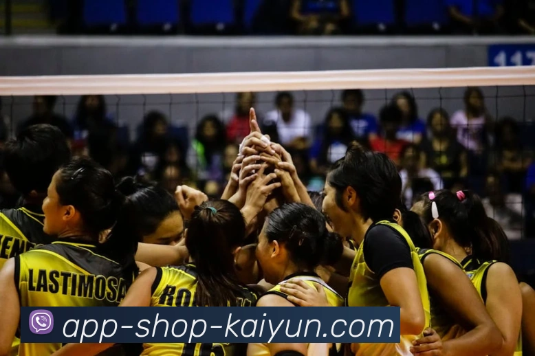 开云APP服务体系